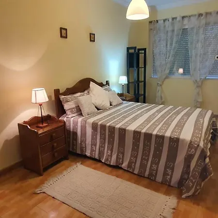 Casa 파레드